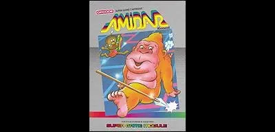 Amidar [Homebrew]
