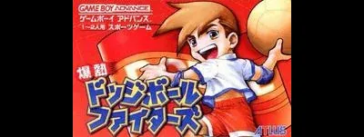 Bakunetsu Dodge Ball Fighters