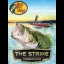 Bass Pro Shops: The Strike: Tournament Edition - Wii - Retrocharting