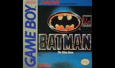 Batman the Video Game