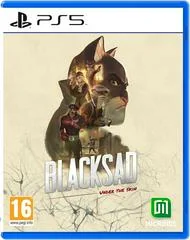 Background - Blacksad: Under The Skin - Playstation 5 - Retrocharting
