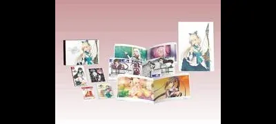 Blade Arcus Rebellion from Shining [Premium Fan Box]