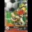 Bowser Soccer [Mario Sports Superstars] - Nintendo DS - Retrocharting