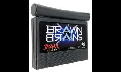 Brawn and Brains