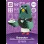 Brewster #302 [Animal Crossing Series 4] - Nintendo DS - Retrocharting