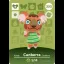 Canberra #232 [Animal Crossing Series 3] - Nintendo DS - Retrocharting