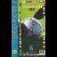 Championship Soccer '94 - Sega CD - Retrocharting
