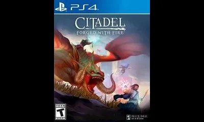 Citadel: Forged with Fire