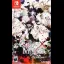 Collar X Malice Unlimited - Nintendo Switch - Retrocharting