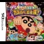 Crayon Shin-chan: Obaka Daininden - Nintendo DS - Retrocharting