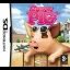 Crazy Pig - Nintendo DS - Retrocharting