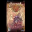 Crimson Gem Saga - PSP - Retrocharting