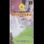 Devil's Course - Super Famicom - Retrocharting