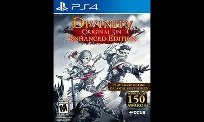 Divinity: Original Sin [Enhanced Edition]