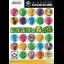 Dobutsu No Mori e+ - Gamecube - Retrocharting