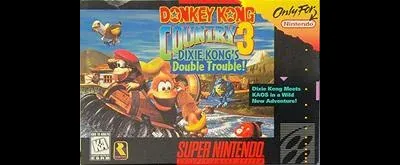 Donkey Kong Country 3