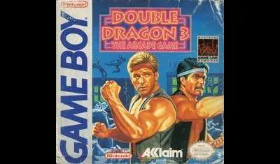 Double Dragon III The Arcade Game