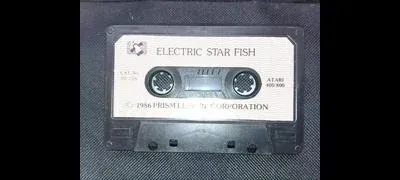 Electric Starfish