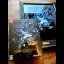 Ender Magnolia: Bloom In The Mist [Limited Edition Fine Art Bundle] - Nintendo Switch - Retrocharting