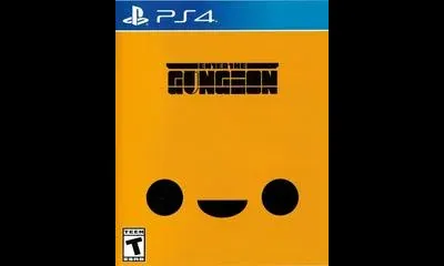 Enter the Gungeon