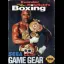 Evander Holyfield S Real Deal Boxing - Sega Game Gear - Retrocharting