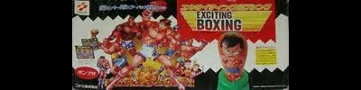 Exciting Boxing