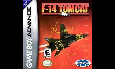 F 14 Tomcat