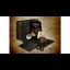 Fallout: New Vegas [Collector's Edition] - Xbox 360 - Retrocharting