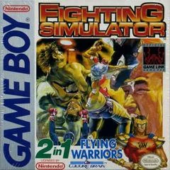 Background - Fighting Simulator: 2-in-1 Flying Warriors - GameBoy - Retrocharting