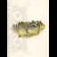Final Fantasy Type-0 HD [Collector's Edition Prima] - Strategy Guide - Retrocharting