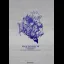 Final Fantasy VII 10th Anniversary Ultimania - Strategy Guide - Retrocharting