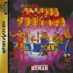 Background - Fire Pro Gaiden: Blazing Tornado - Sega Saturn - Retrocharting