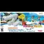 Fishing Resort [Rod Bundle] - Wii - Retrocharting
