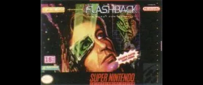 Flashback The Quest for Identity
