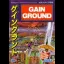 Gain Ground - Sega Genesis - Retrocharting