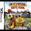 Garfield Gets Real - Nintendo DS - Retrocharting