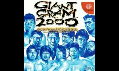 Giant Gram 2000: All Japan Pro Wrestling 3