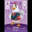 Goose #082 [Animal Crossing Series 1] - Nintendo DS - Retrocharting