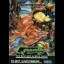 Greendog: The Beached Surfer Dude! - Sega Genesis - Retrocharting