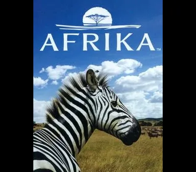 Hakuna Matata