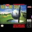 Hal's Hole in One Golf - Super Nintendo - Retrocharting