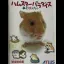 Hamster Paradise Advanchu - GameBoy Advance - Retrocharting