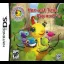 Harvest Time Hop and Fly - Nintendo DS - Retrocharting
