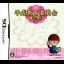 Heisei Kyouiku Iinkai DS - Nintendo DS - Retrocharting