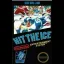 Hit The Ice [Homebrew] - Nintendo NES Console - Retrocharting