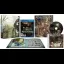 htol#niq: The Firefly Diary [Limited Edition] - Playstation Vita - Retrocharting