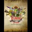 Hyrule Warriors Legends [Collector's Guide Prima] - Nintendo DS - Retrocharting