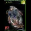 Innocent Tears - Xbox - Retrocharting