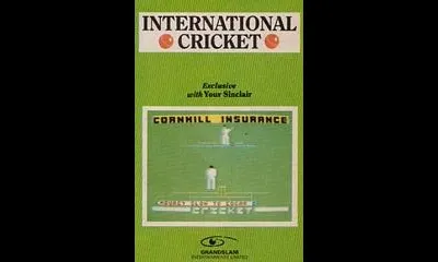 International Cricket