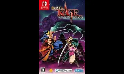 Kage: Shadow Of The Ninja Reborn